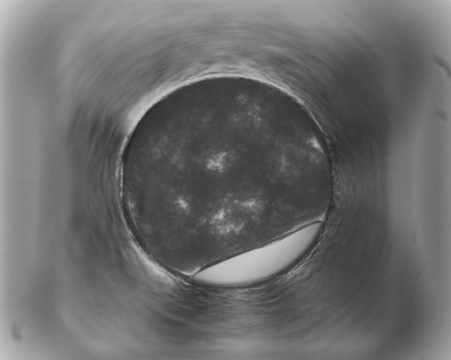 X0000102481519200808291616