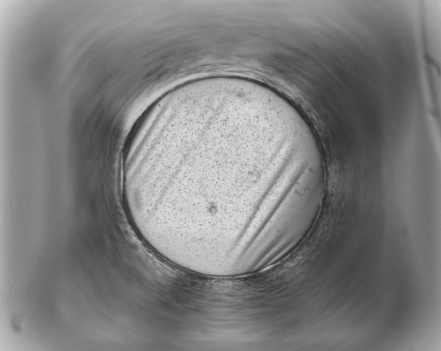 X0000102481520200808291616