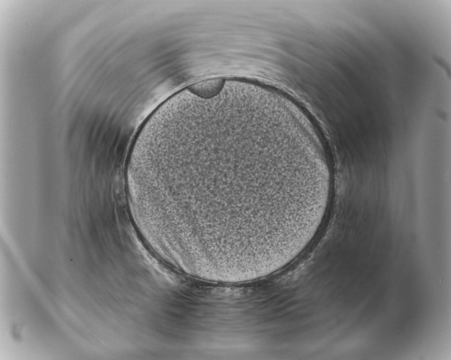 X0000102481521200808291616