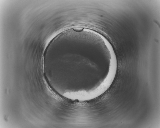 X0000102481522200808291616