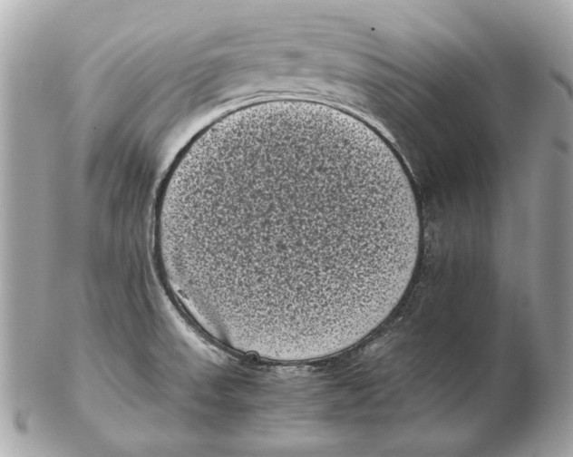 X0000102481523200808291616