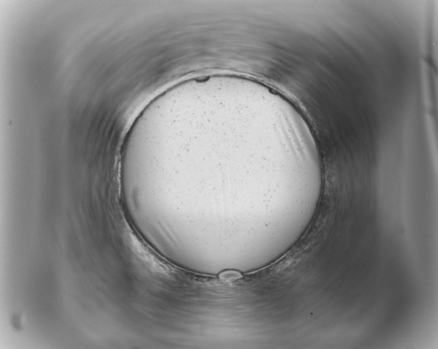 X0000102481524200808291616