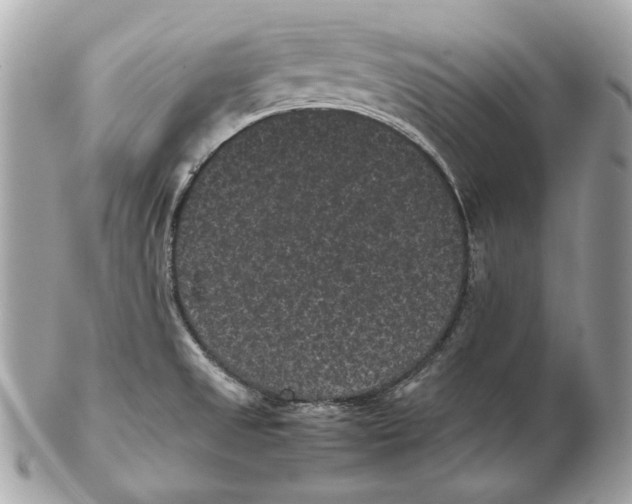 X0000102481525200808291616