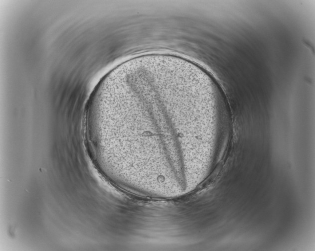 X0000102481526200808291616