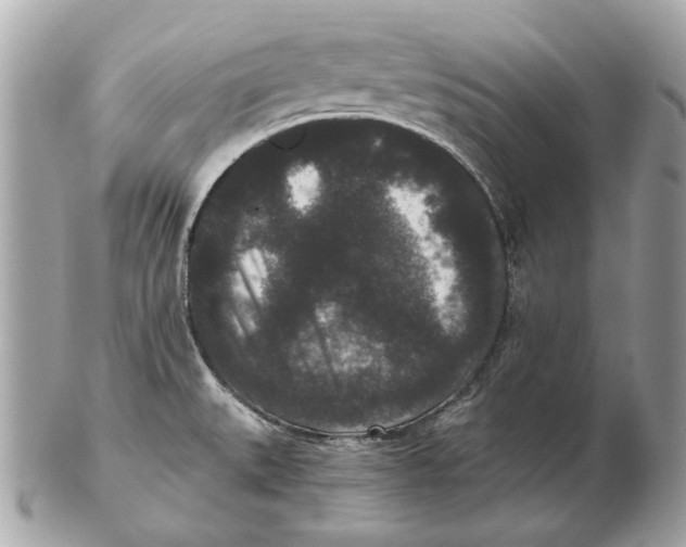 X0000102481527200808291616