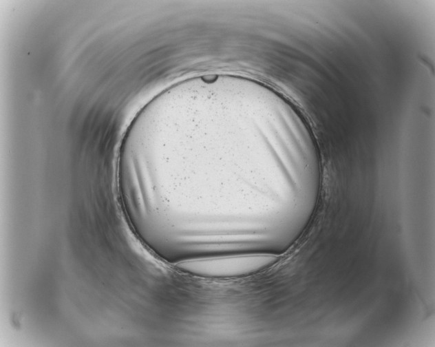 X0000102481528200808291616