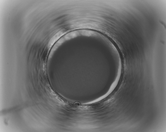 X0000102481529200808291616