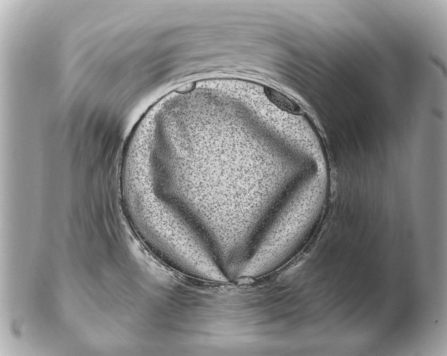 X0000102481530200808291616