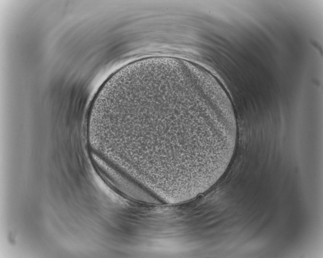 X0000102481531200808291616