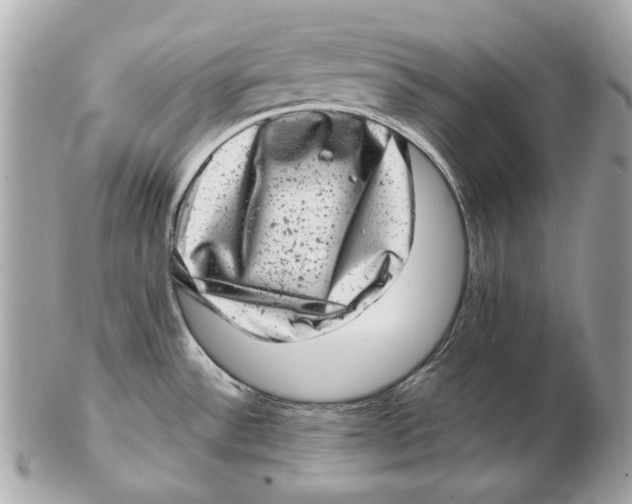 X0000102481532200808291616