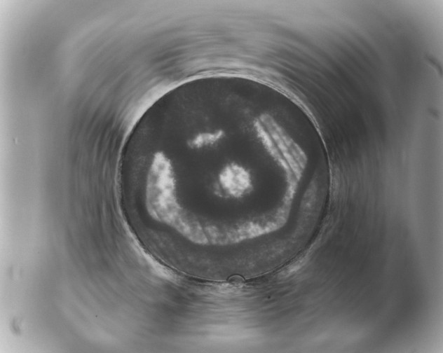 X0000102481533200808291616