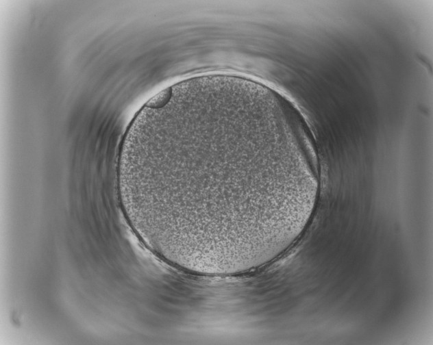 X0000102481534200808291616