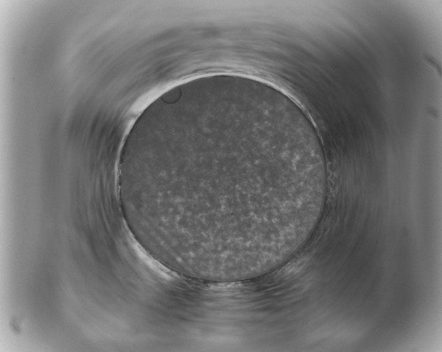 X0000102481535200808291616