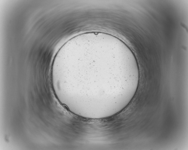 X0000102481536200808291616