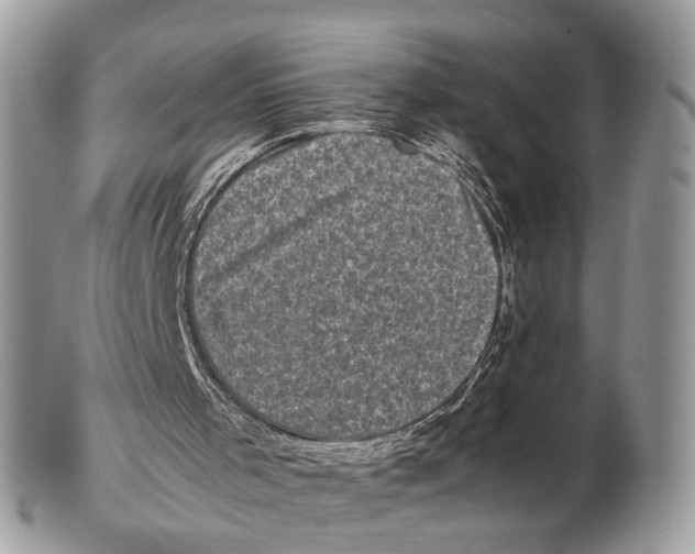 X0000102480001200809051407