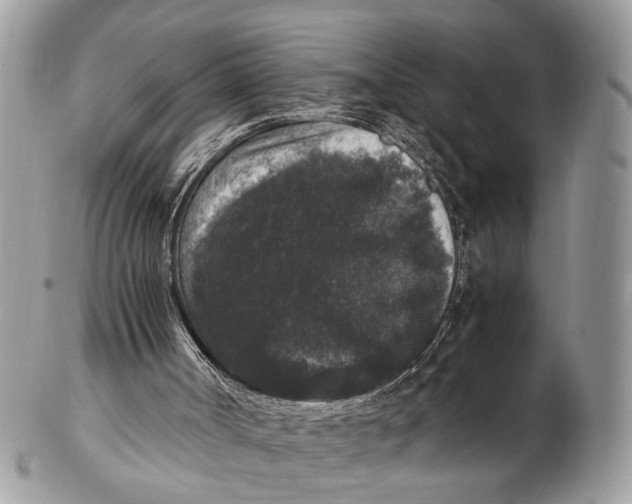 X0000102480002200809051407