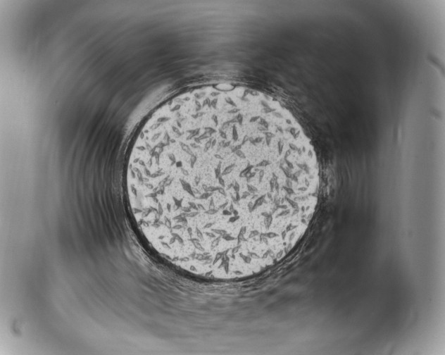 X0000102480004200809051407