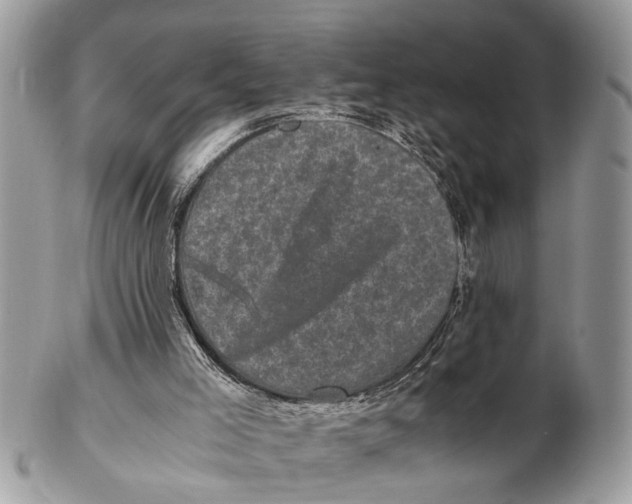 X0000102480005200809051407