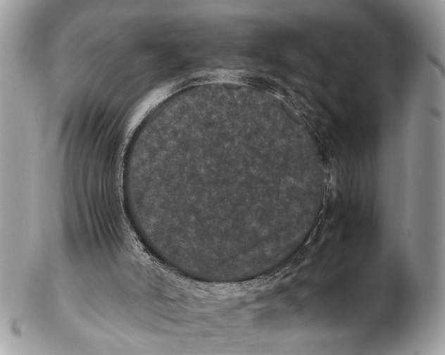 X0000102480006200809051407