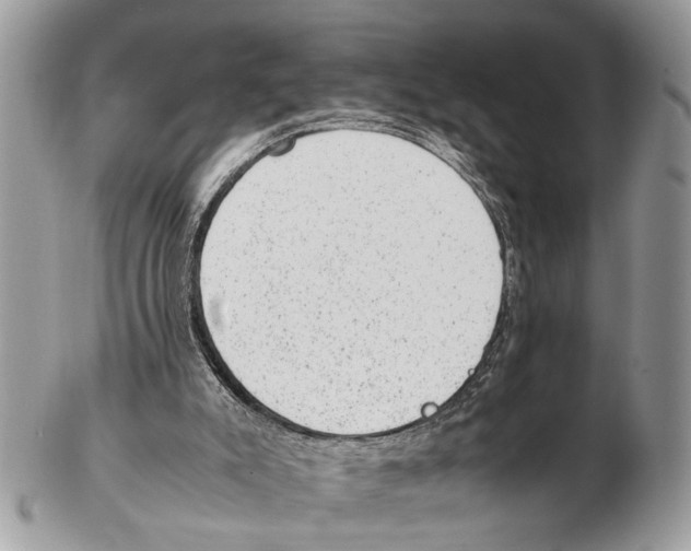 X0000102480007200809051407