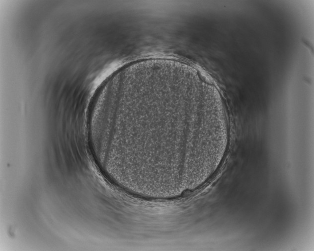 X0000102480008200809051407