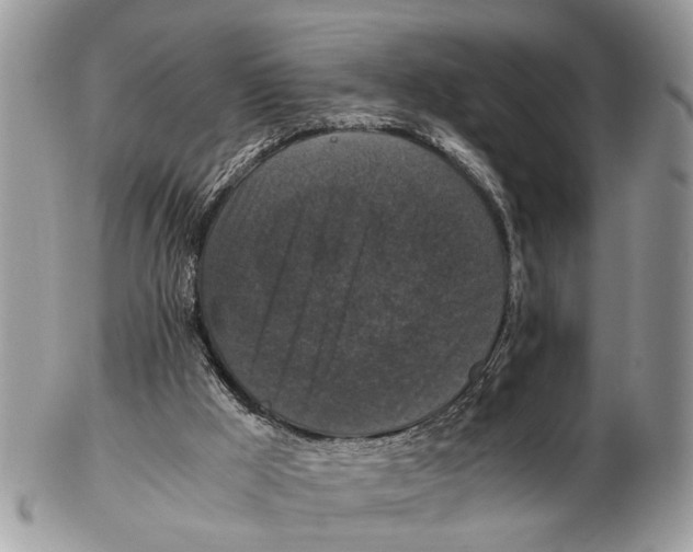 X0000102480009200809051407