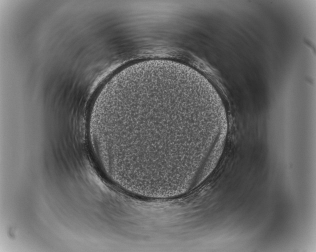 X0000102480012200809051407