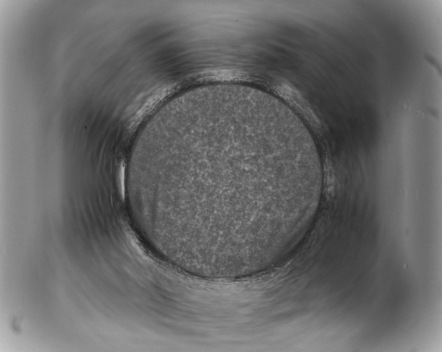 X0000102480014200809051407