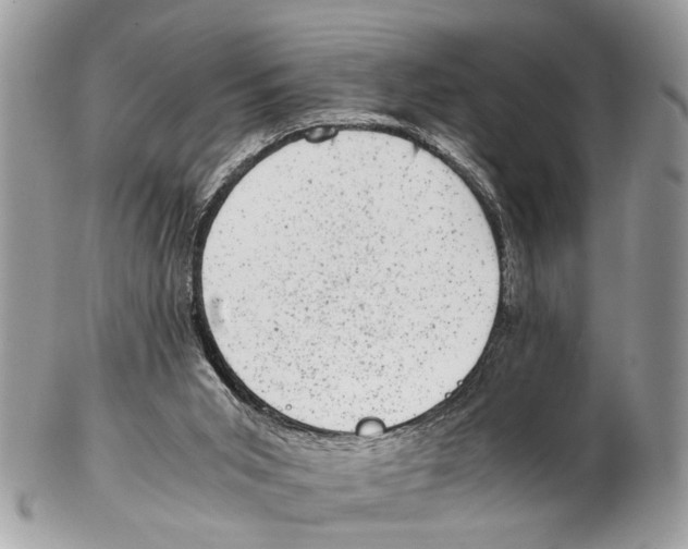 X0000102480015200809051407