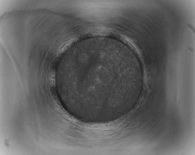 X0000102480017200809051407