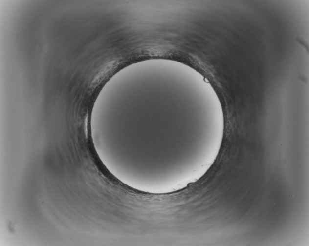 X0000102480019200809051407