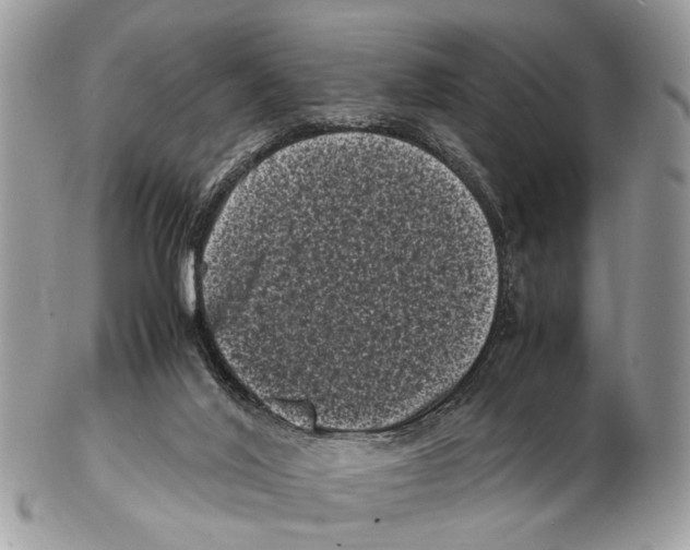 X0000102480020200809051407