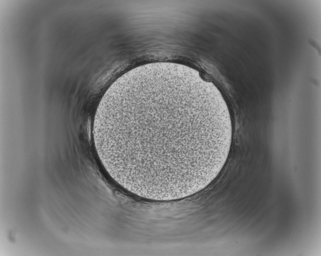 X0000102480021200809051407