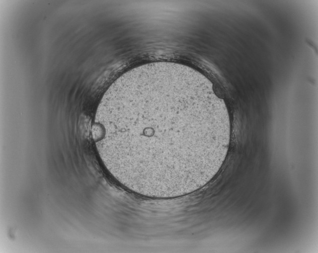 X0000102480025200809051407