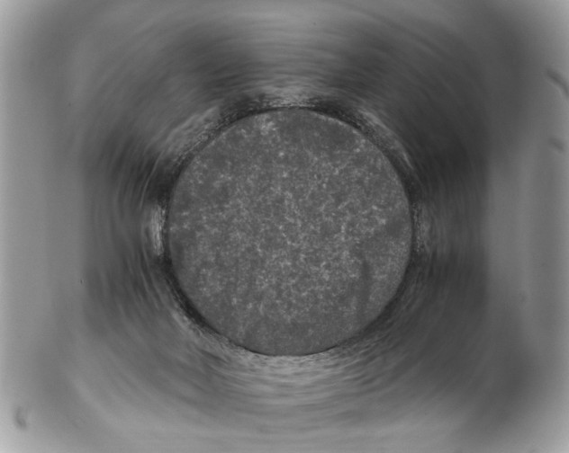 X0000102480026200809051407