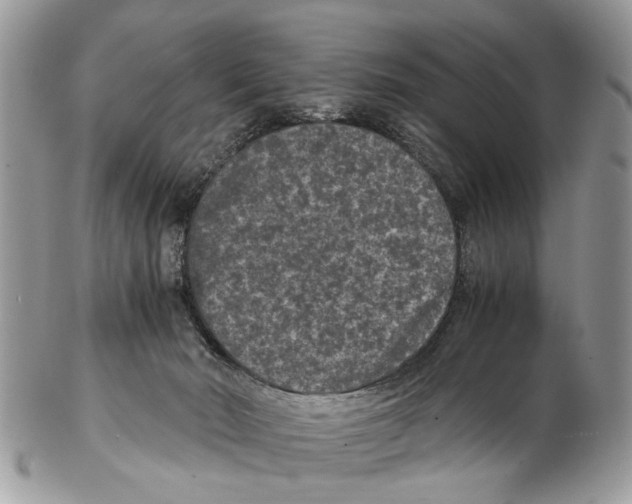 X0000102480030200809051407