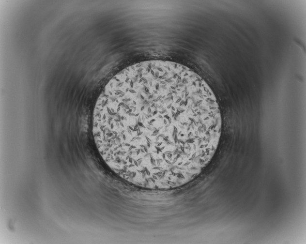 X0000102480032200809051407
