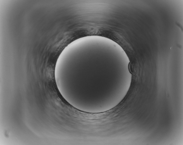 X0000102480035200809051407