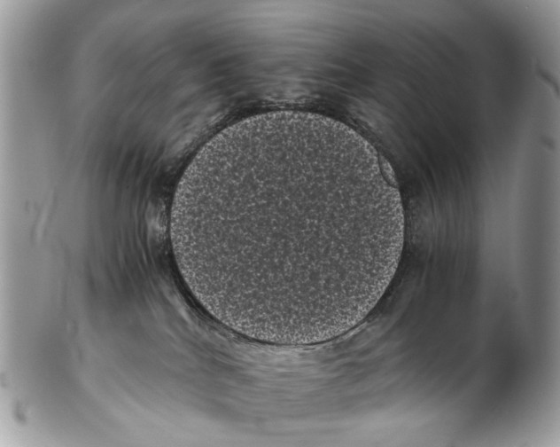 X0000102480040200809051406