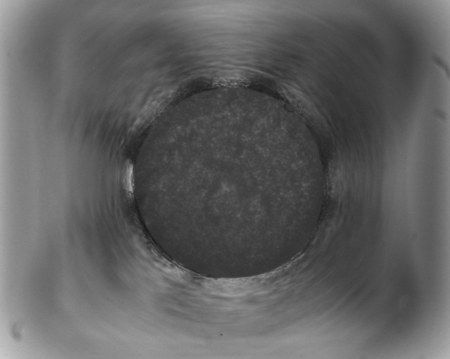 X0000102480041200809051406