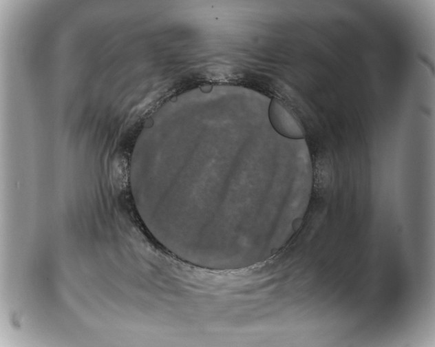 X0000102480043200809051406