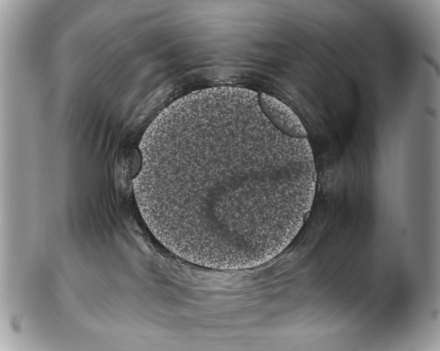 X0000102480044200809051406