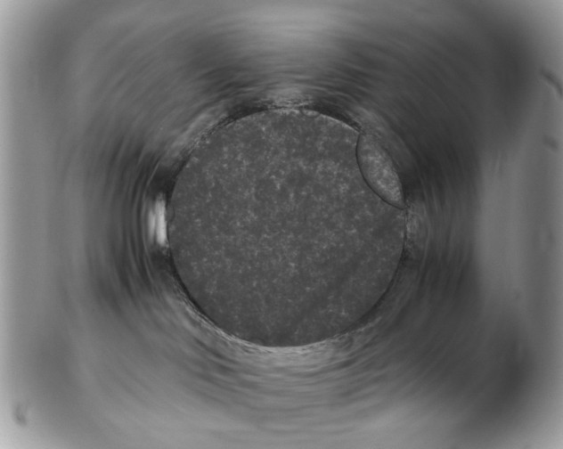 X0000102480046200809051406