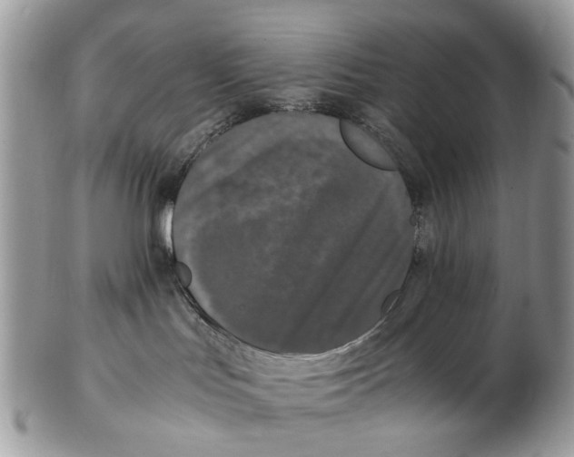 X0000102480047200809051406