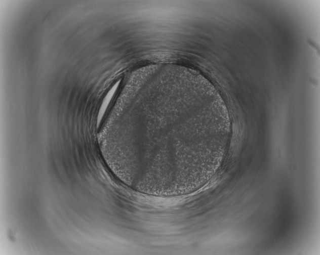 X0000102480048200809051406