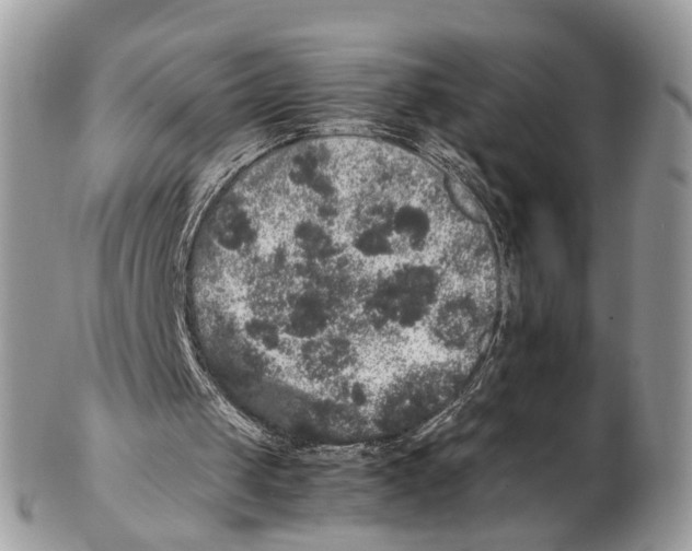 X0000102480049200809051406