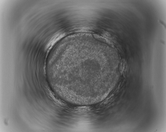 X0000102480050200809051406