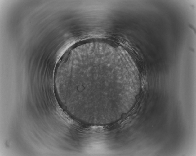 X0000102480052200809051406