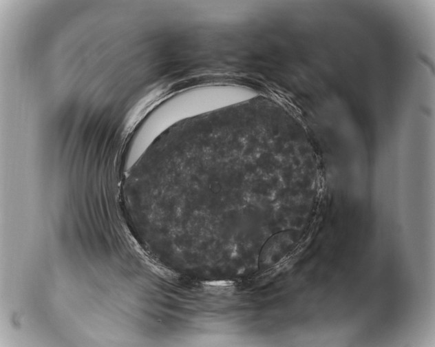 X0000102480053200809051406