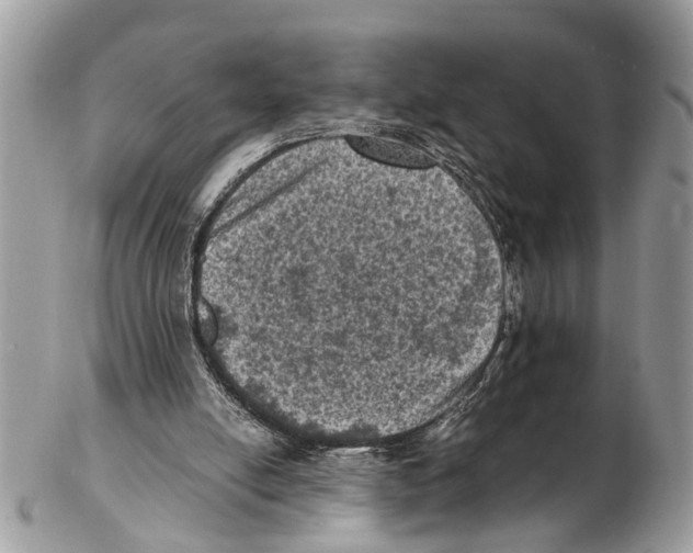 X0000102480054200809051406